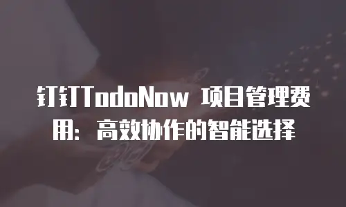 钉钉TodoNow 项目管理费用：高效协作的智能选择