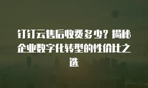 钉钉云售后收费多少？揭秘企业数字化转型的性价比之选