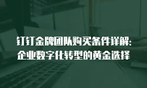 钉钉金牌团队购买条件详解：企业数字化转型的黄金选择