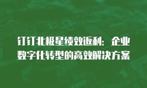 钉钉北极星绩效返利：企业数字化转型的高效解决方案