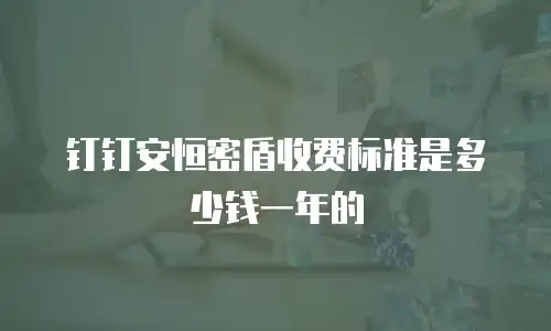 钉钉安恒密盾收费标准是多少钱一年的