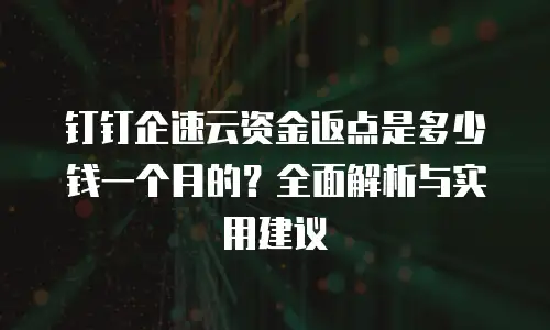 钉钉企速云资金返点是多少钱一个月的？全面解析与实用建议