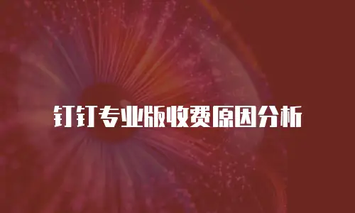 钉钉专业版收费原因分析