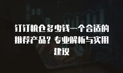 钉钉粮仓多少钱一个合适的推荐产品？专业解析与实用建议