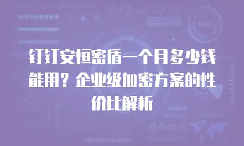 钉钉安恒密盾一个月多少钱能用？企业级加密方案的性价比解析