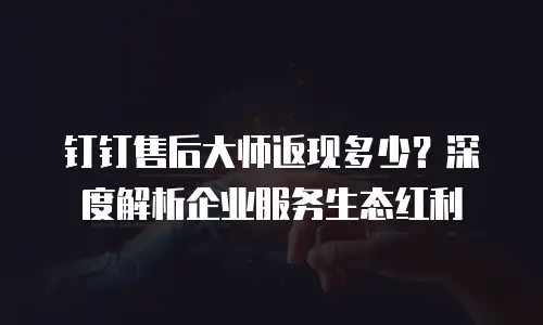 钉钉售后大师返现多少？深度解析企业服务生态红利