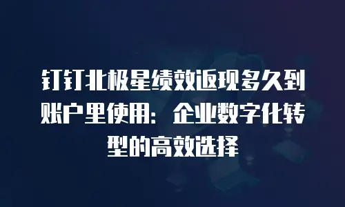 钉钉北极星绩效返现多久到账户里使用：企业数字化转型的高效选择