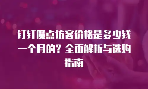 钉钉魔点访客价格是多少钱一个月的？全面解析与选购指南
