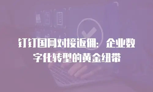 钉钉国网对接返佣：企业数字化转型的黄金纽带