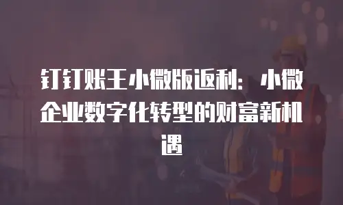 钉钉账王小微版返利：小微企业数字化转型的财富新机遇