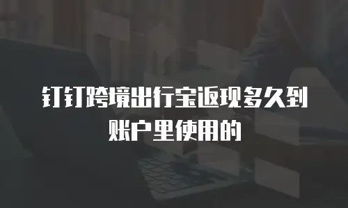 钉钉跨境出行宝返现多久到账户里使用的