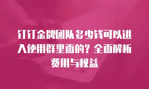 钉钉金牌团队多少钱可以进入使用群里面的？全面解析费用与权益