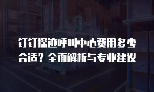 钉钉探迹呼叫中心费用多少合适？全面解析与专业建议