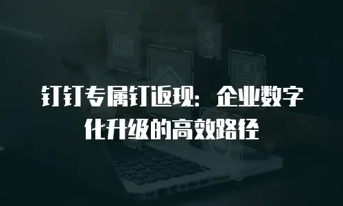 钉钉专属钉返现：企业数字化升级的高效路径