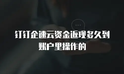 钉钉企速云资金返现多久到账户里操作的