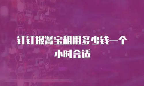 钉钉报餐宝租用多少钱一个小时合适