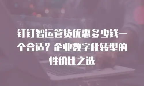 钉钉智运管货优惠多少钱一个合适？企业数字化转型的性价比之选