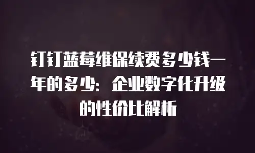钉钉蓝莓维保续费多少钱一年的多少：企业数字化升级的性价比解析