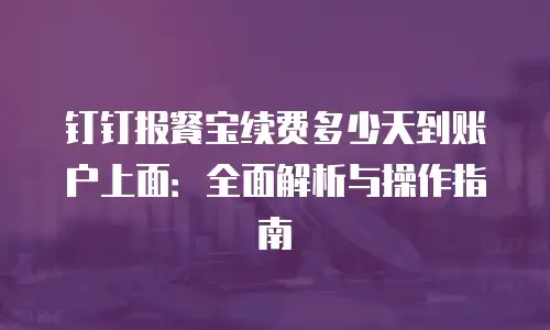 钉钉报餐宝续费多少天到账户上面：全面解析与操作指南