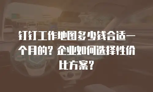 钉钉工作地图多少钱合适一个月的？企业如何选择性价比方案？