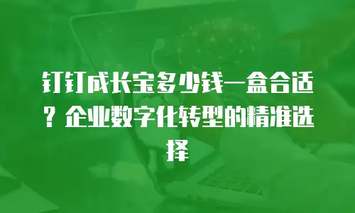 钉钉成长宝多少钱一盒合适？企业数字化转型的精准选择