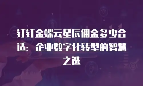 钉钉金蝶云星辰佣金多少合适：企业数字化转型的智慧之选