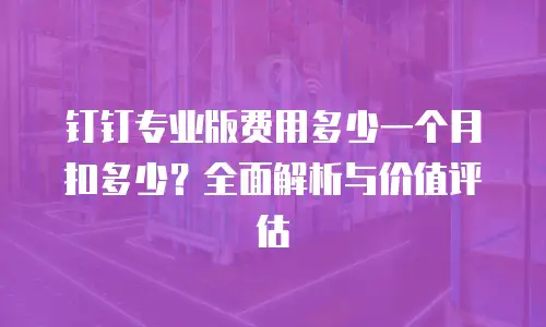钉钉专业版费用多少一个月扣多少？全面解析与价值评估