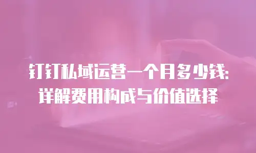 钉钉私域运营一个月多少钱：详解费用构成与价值选择