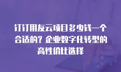 钉钉用友云项目多少钱一个合适的？企业数字化转型的高性价比选择