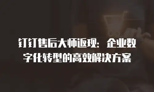 钉钉售后大师返现：企业数字化转型的高效解决方案