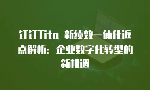 钉钉Tita 新绩效一体化返点解析：企业数字化转型的新机遇