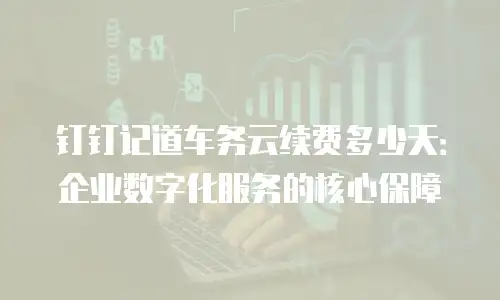 钉钉记道车务云续费多少天：企业数字化服务的核心保障