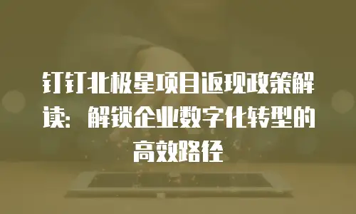 钉钉北极星项目返现政策解读：解锁企业数字化转型的高效路径