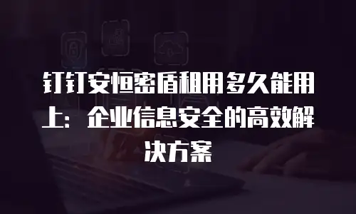 钉钉安恒密盾租用多久能用上：企业信息安全的高效解决方案