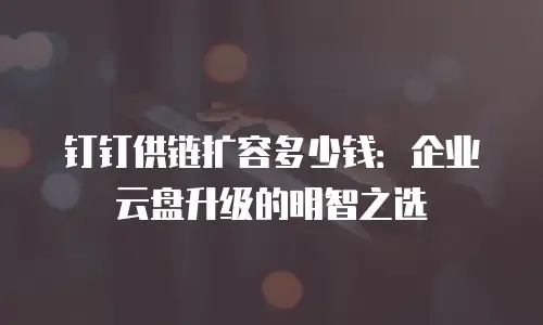 钉钉供链扩容多少钱：企业云盘升级的明智之选