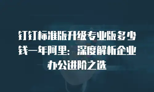 钉钉标准版升级专业版多少钱一年阿里：深度解析企业办公进阶之选