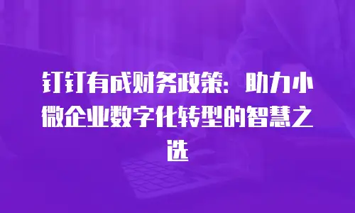 钉钉有成财务政策：助力小微企业数字化转型的智慧之选