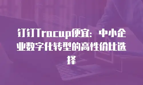 钉钉Tracup便宜：中小企业数字化转型的高性价比选择