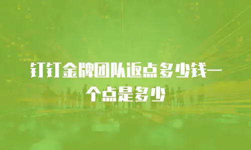 钉钉金牌团队返点多少钱一个点是多少