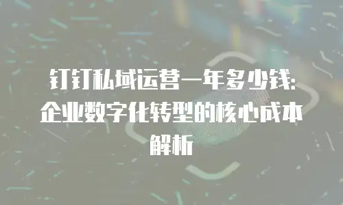 钉钉私域运营一年多少钱：企业数字化转型的核心成本解析