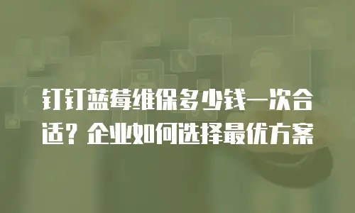 钉钉蓝莓维保多少钱一次合适？企业如何选择最优方案