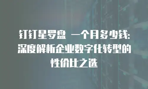 钉钉星罗盘 一个月多少钱：深度解析企业数字化转型的性价比之选
