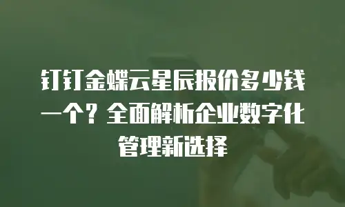 钉钉金蝶云星辰报价多少钱一个？全面解析企业数字化管理新选择