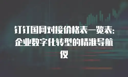 钉钉国网对接价格表一览表：企业数字化转型的精准导航仪