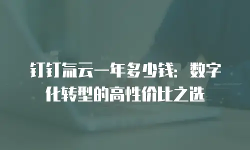 钉钉氚云一年多少钱：数字化转型的高性价比之选