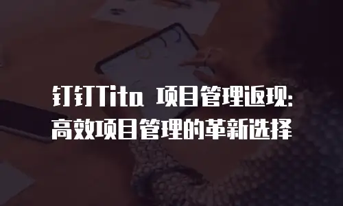 钉钉Tita 项目管理返现：高效项目管理的革新选择