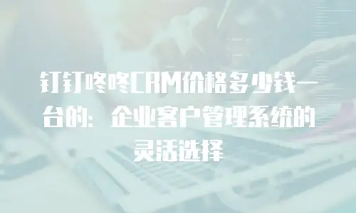 钉钉咚咚CRM价格多少钱一台的：企业客户管理系统的灵活选择