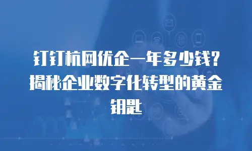 钉钉杭网优企一年多少钱？揭秘企业数字化转型的黄金钥匙