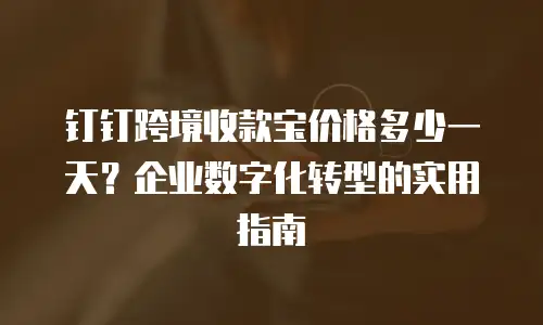 钉钉跨境收款宝价格多少一天？企业数字化转型的实用指南