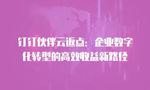 钉钉伙伴云返点：企业数字化转型的高效收益新路径